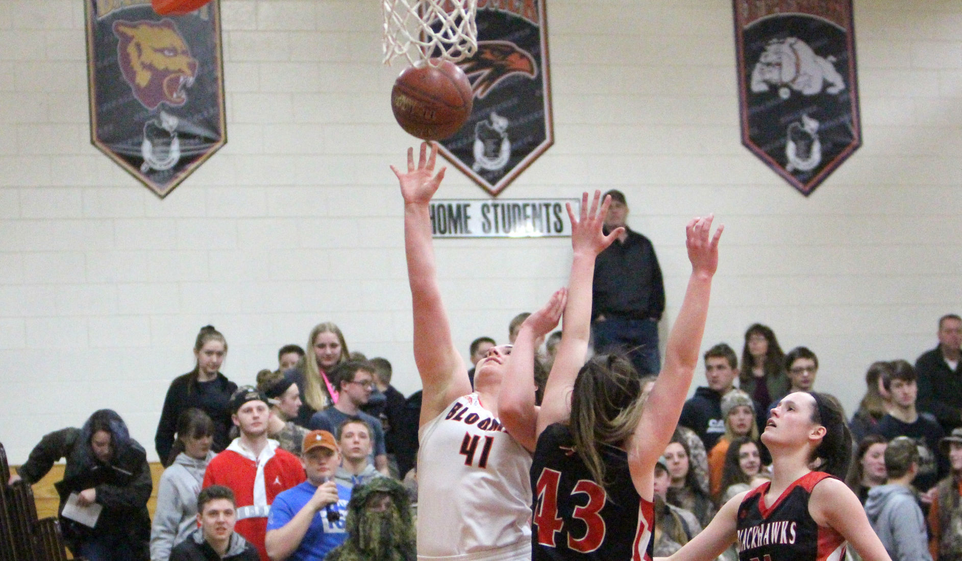 Baldwin-Woodville at Bloomer girls basketball 2-22-19